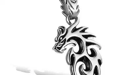 Blank stål dragon halssmykke med kæde
